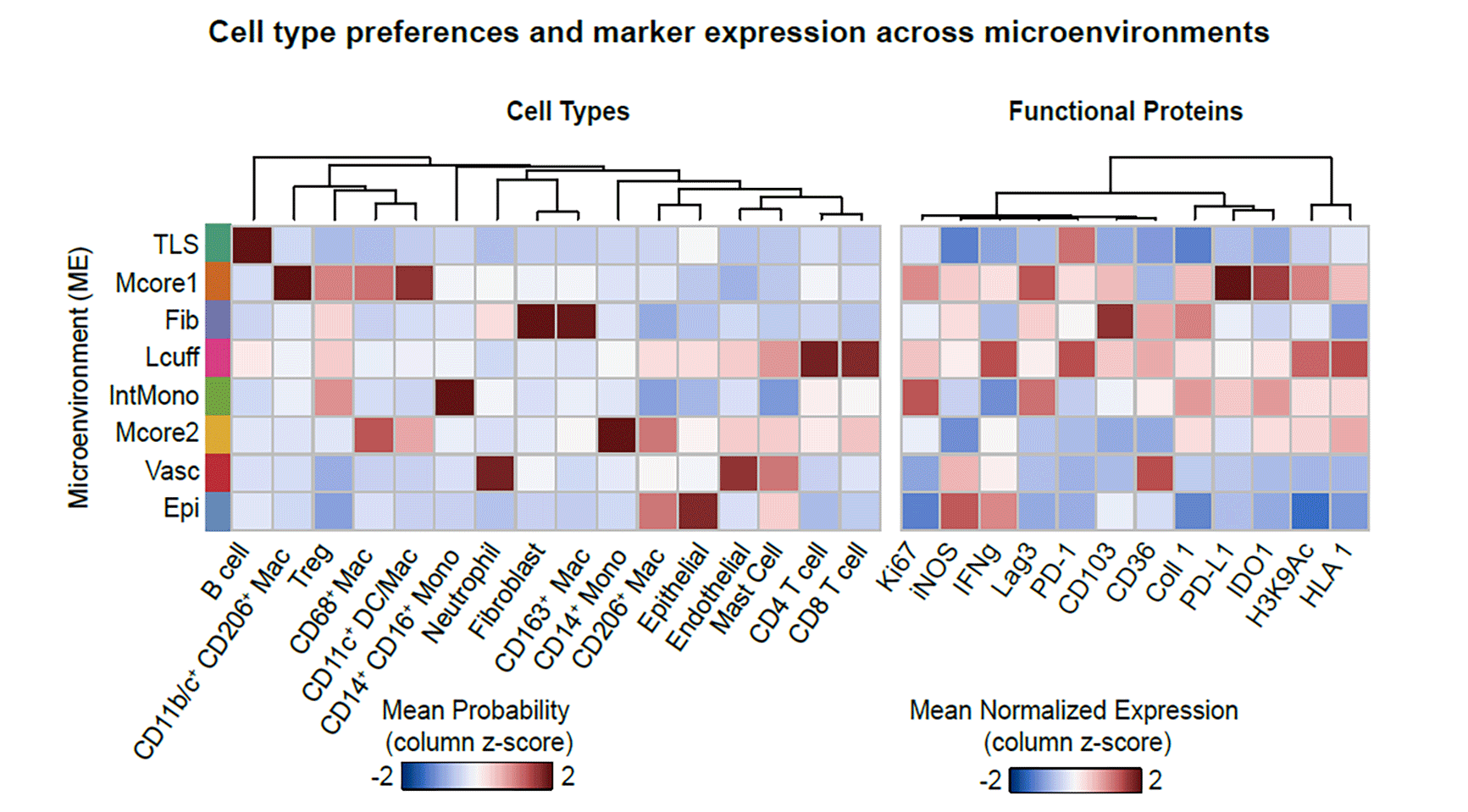 MIBI Blog - Cell type and marker expression across of tuberculosis microenvironment