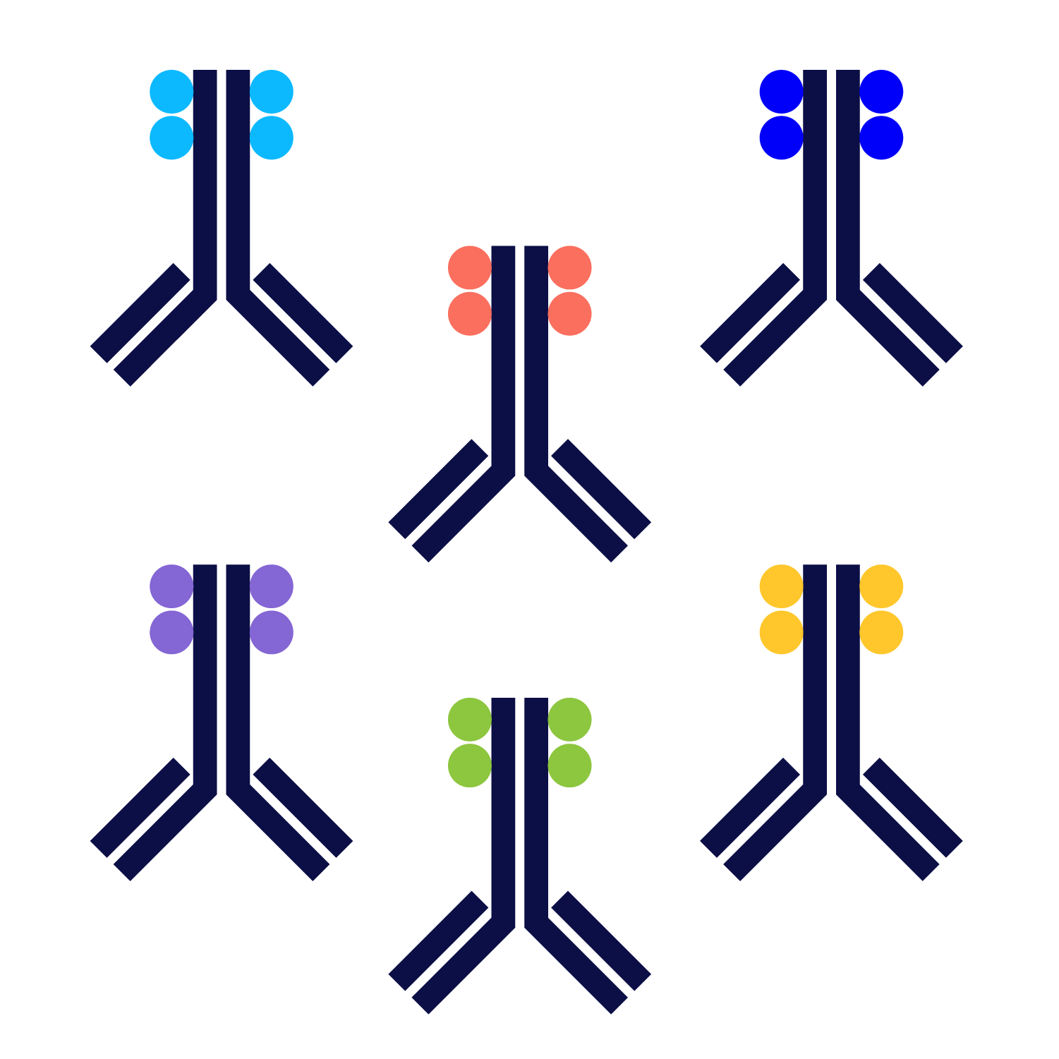 Ionpath Conjugated Antibodies