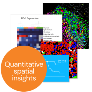 Quantitative spatial insights with MIBI