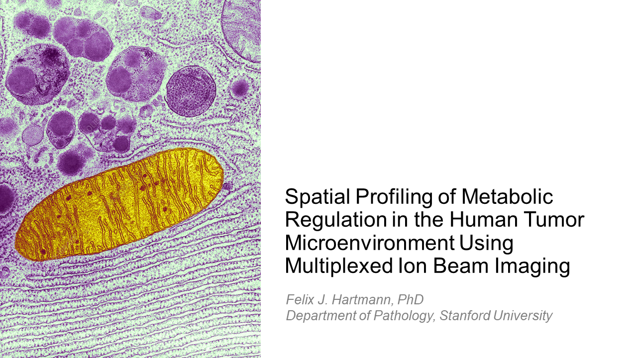 Webinar - Hartmann - Spatial Profiling of Metabolic Regulation
